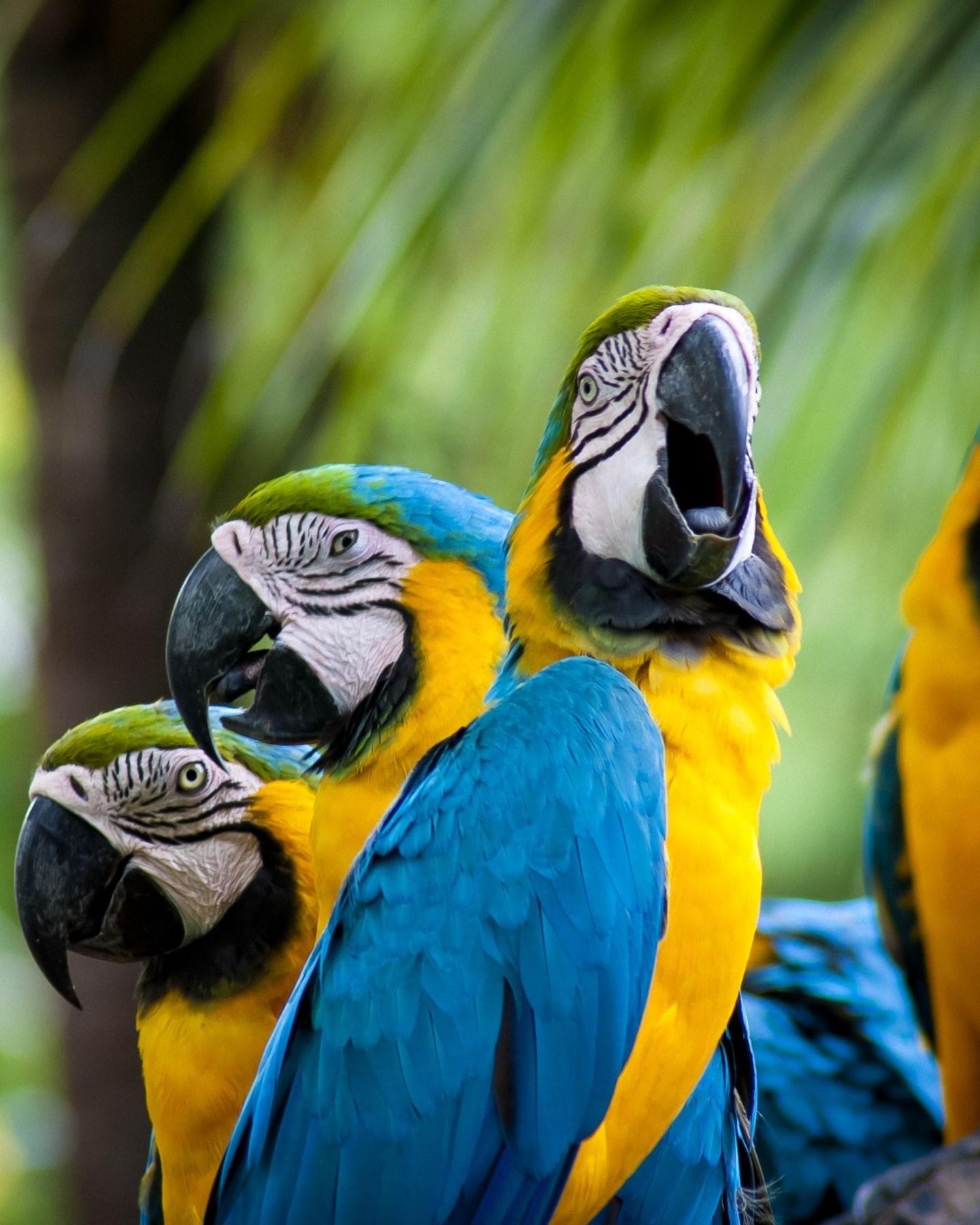 PWC conservation team