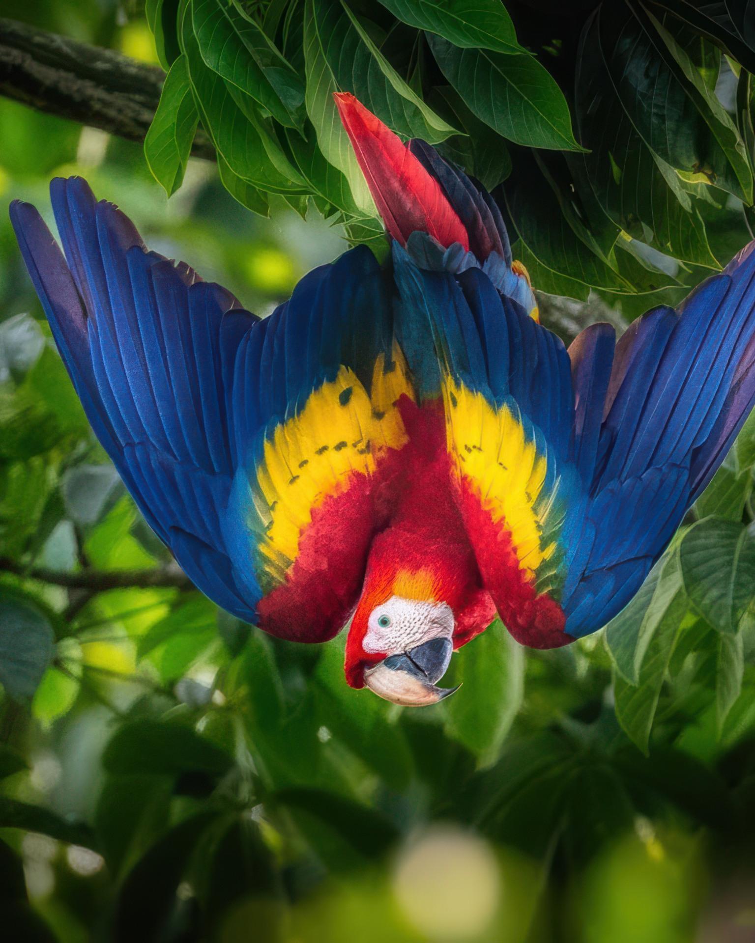 Donate Hero Background Mobile