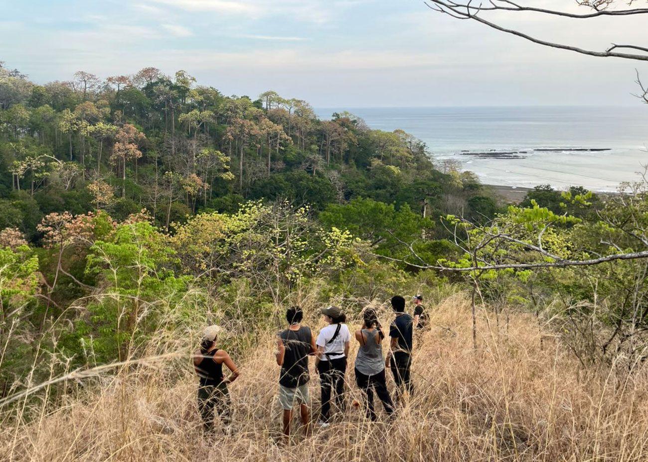 Grupo de personas observando guacamayos desde una ladera con bosque tropical y vista al mar en Azuero, Panamá.