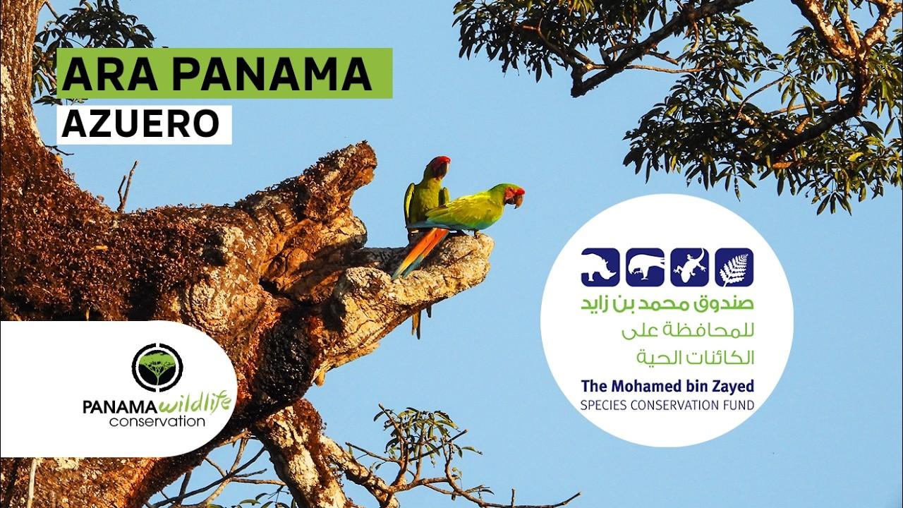 Ver video del proyecto