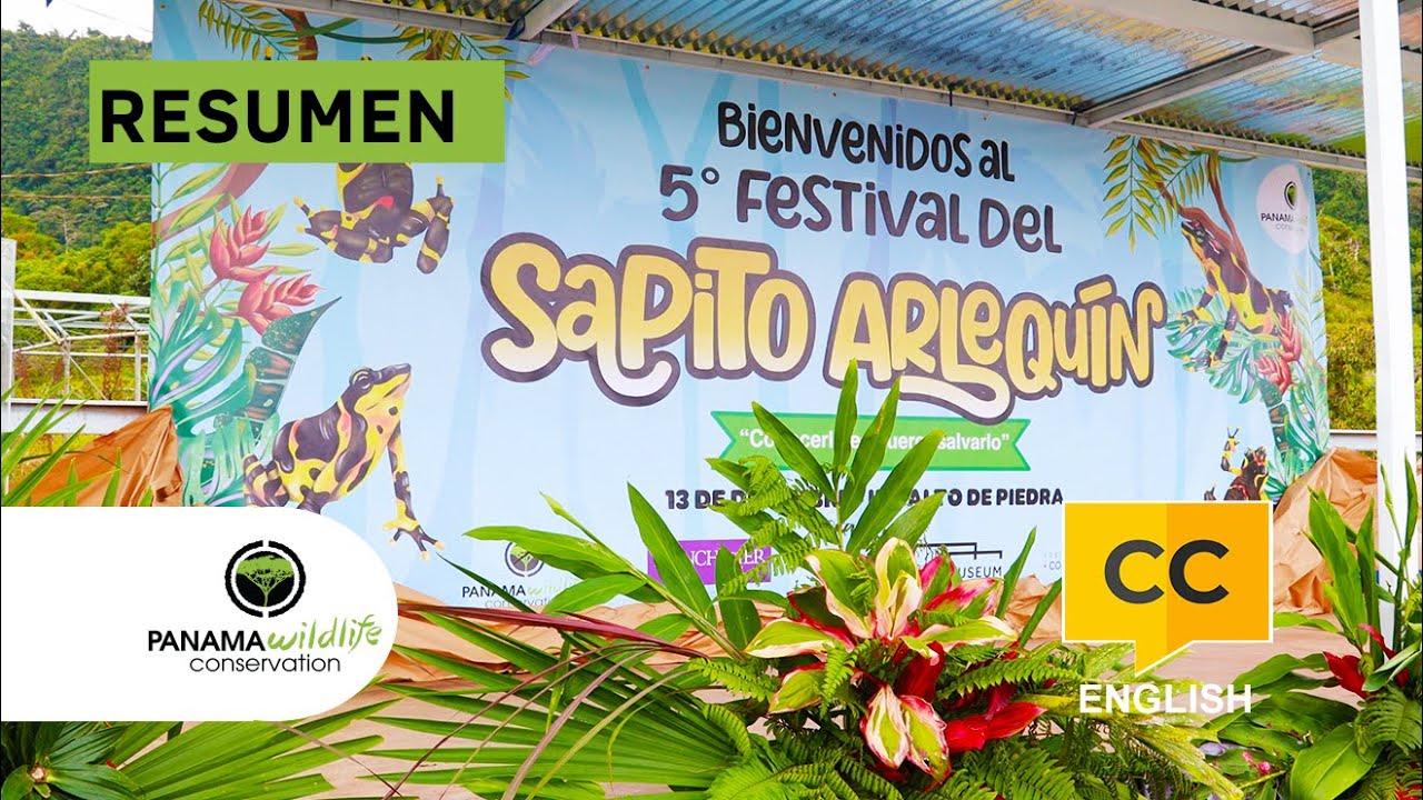 Watch the project video