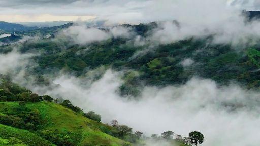 Cloud Mountain Forests