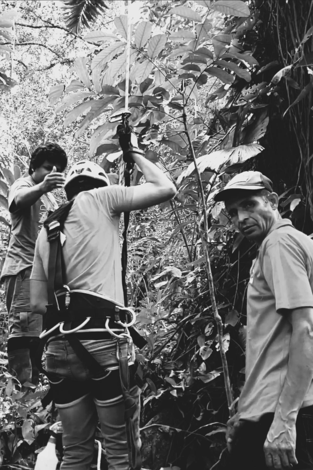 Volunteers in the field