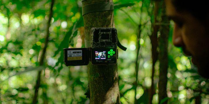 Camera trap in the field