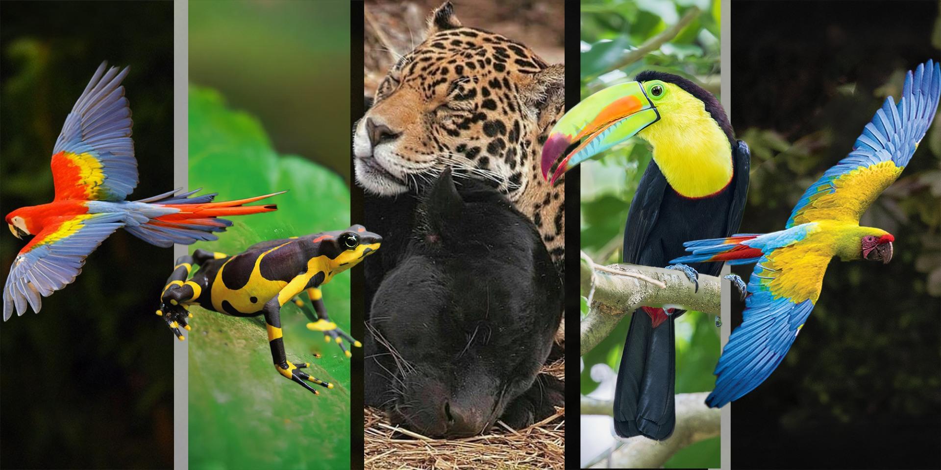 Conservation team in the field