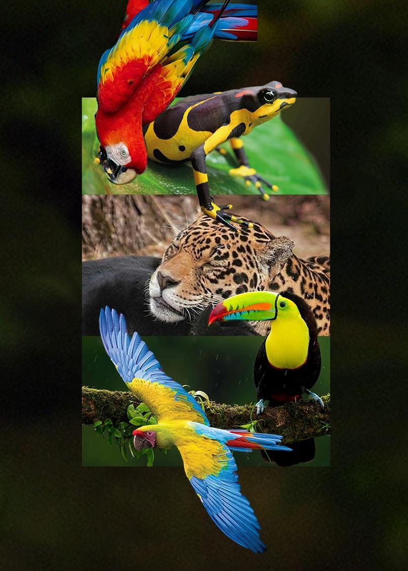 Conservation team in the field