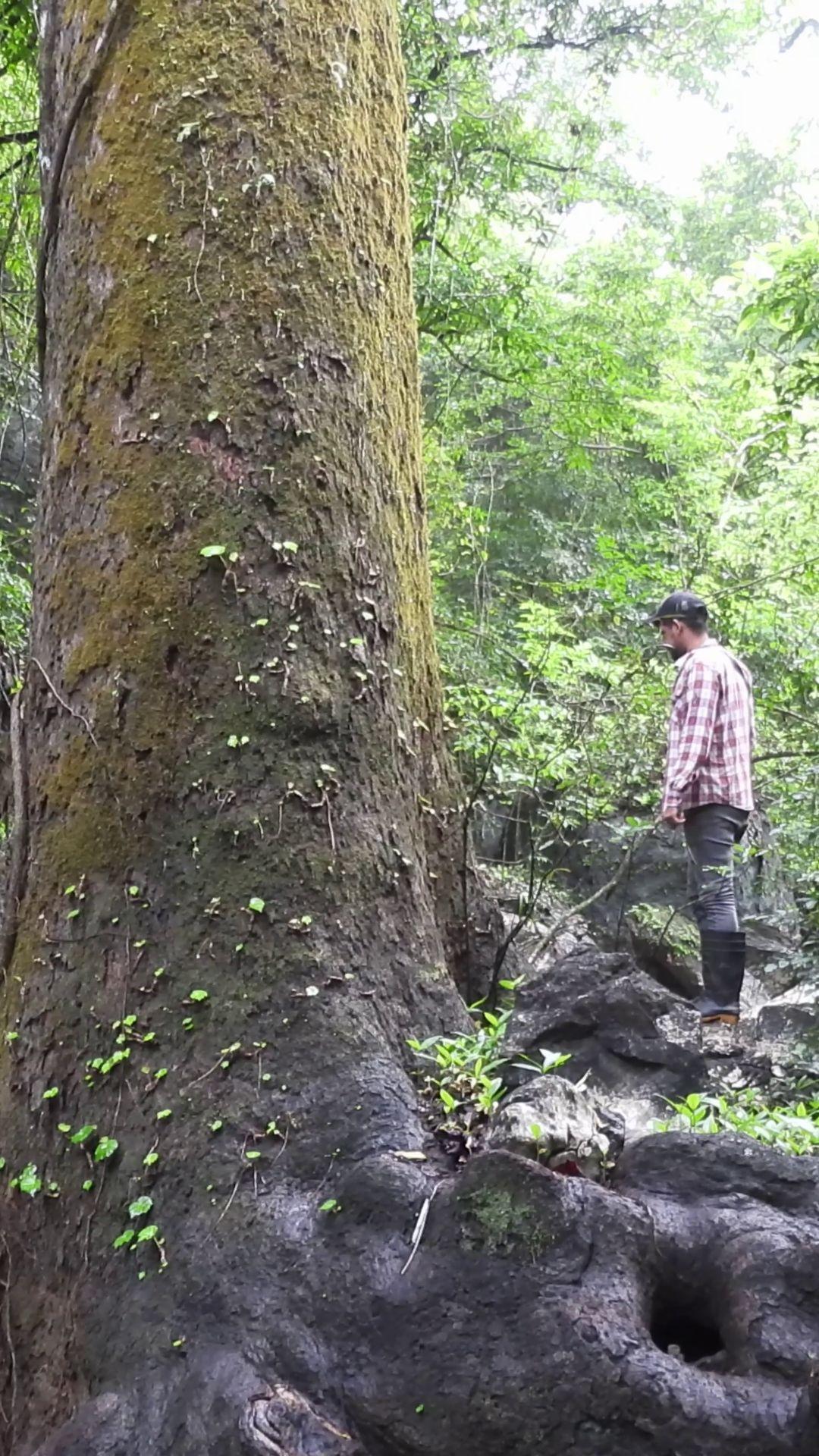 Education activity with school students