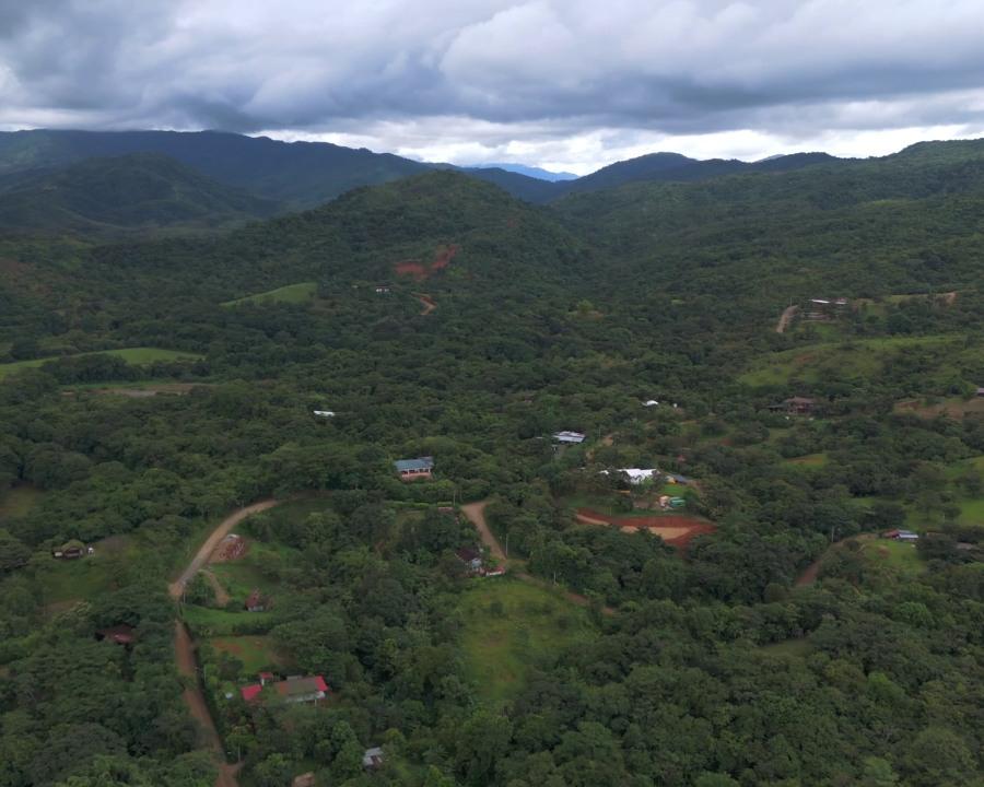Habitat restoration in Torio