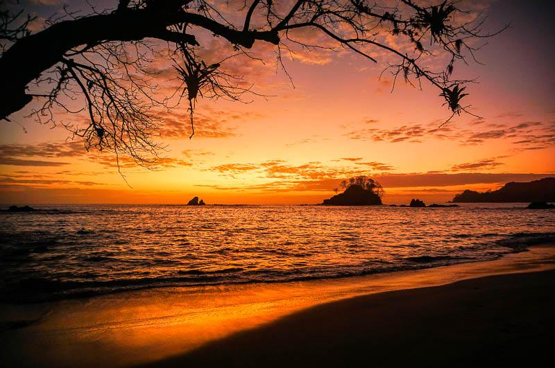 Hero visual: Cerro Hoya rainforest panorama