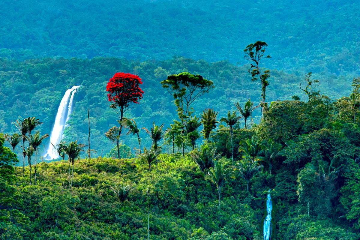 Illustrative image 2