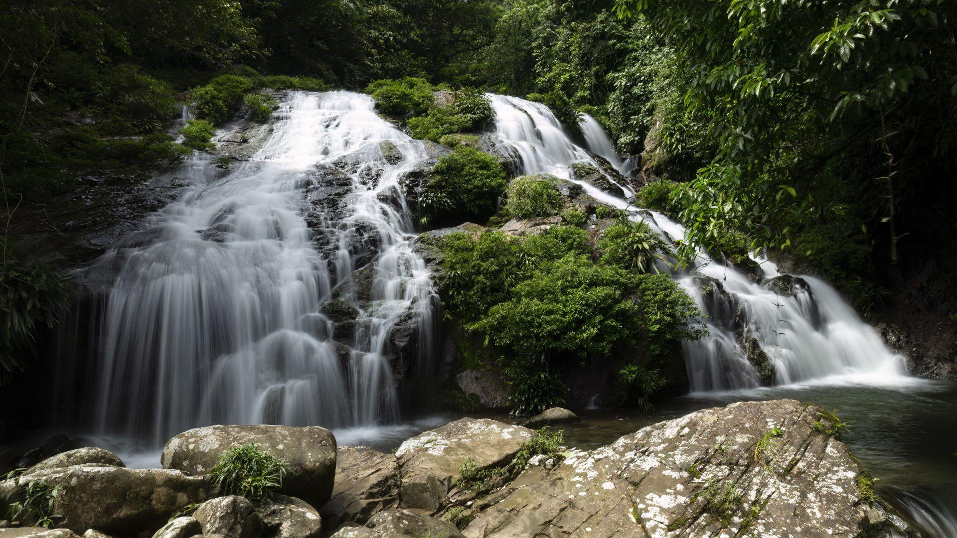 Hero visual: Santa Fe mountain rainforest