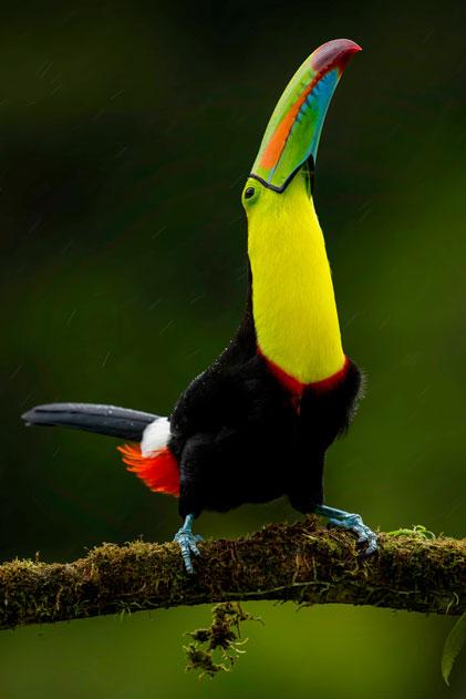 Santa Fe National Park feature image 1