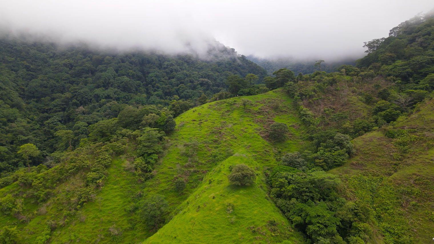 Tropical rainforest and cloud-covered mountains in Cerro Hoya National Park, Panama