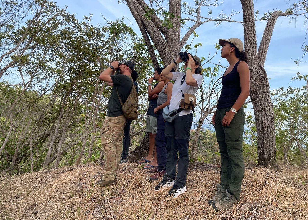 Birdwatchers using binoculars during a wildlife expedition in Azuero, Panama