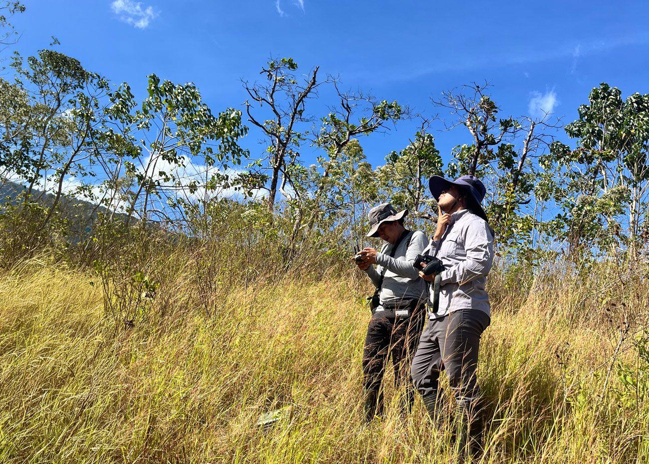 Equipo de campo observando aves durante una expedición científica en los bosques de Azuero, Panamá.