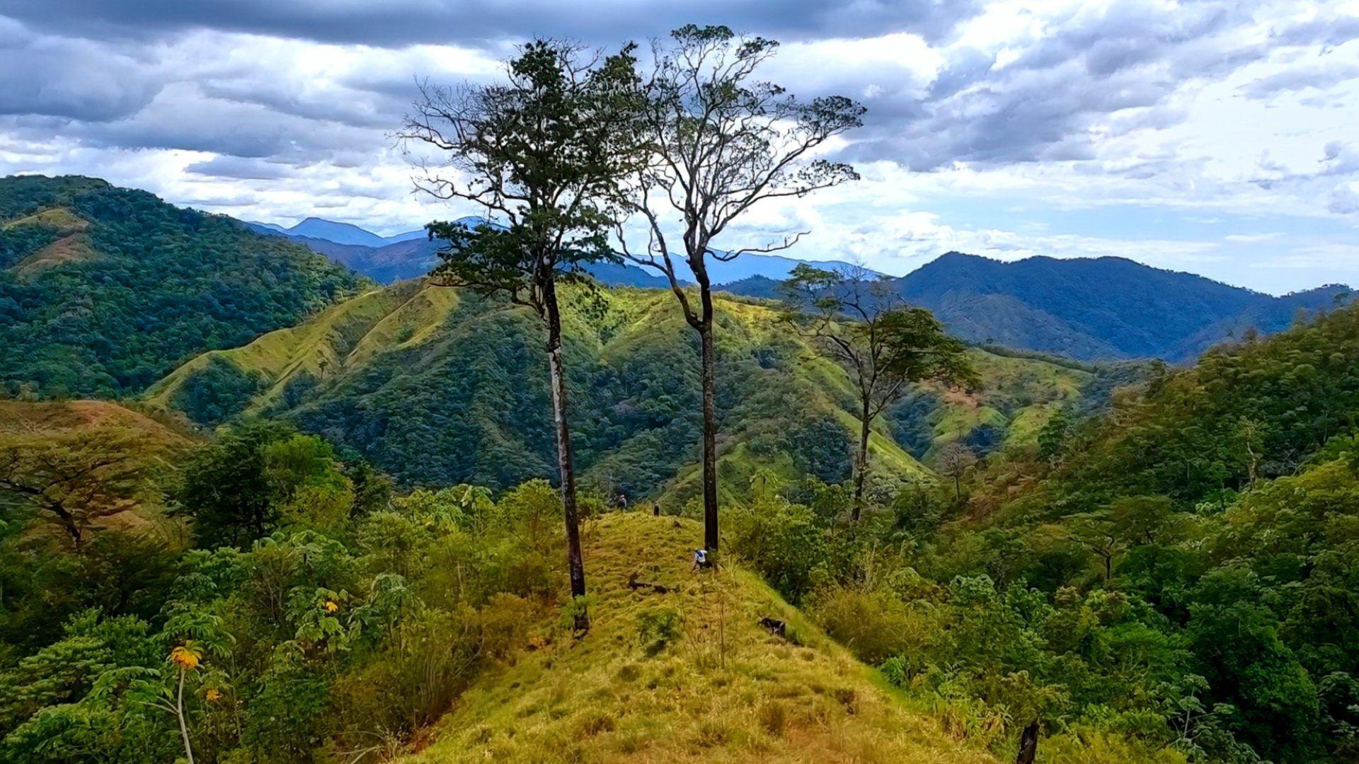 Lessons Learned the Hard Way as a Conservationist