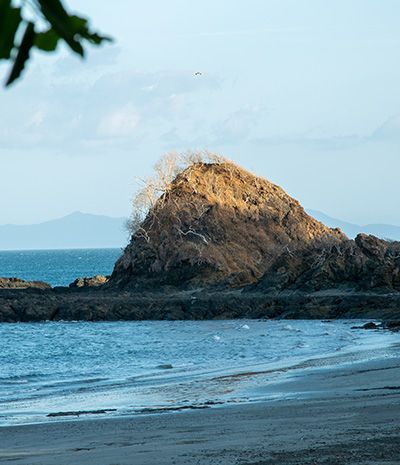 Cerro Hoya & Coiba Island birding trip 